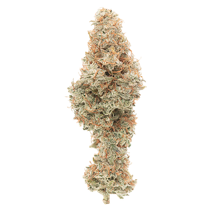 Good Buds - Mango Cake