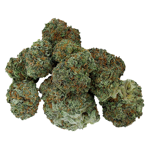 Starting Point! - Moon Drifter