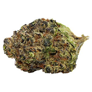 Lowbanks Grow - Bollywood