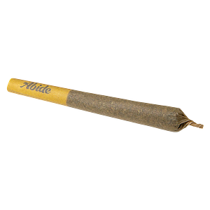 Abide - Mango 1:1 Pre-Roll