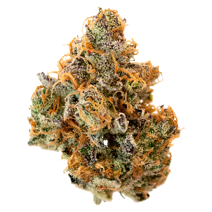 Pineapple Buds - Hawaiian Pineapple