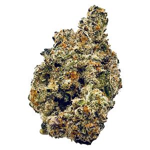 High Xotic - Royal Dive #2