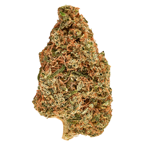 Carnaval - Big Bang Indica Smallz