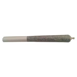 El Camino - Baby Blue Pre Roll