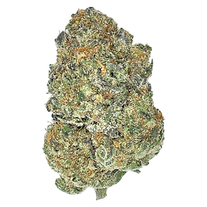 Partake - Orange Squeeze