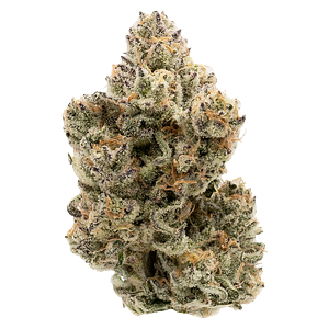 Northern Canna - The Collective Oz