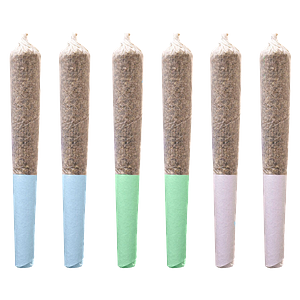 Station House - Sativa Daytime Express Pre Roll