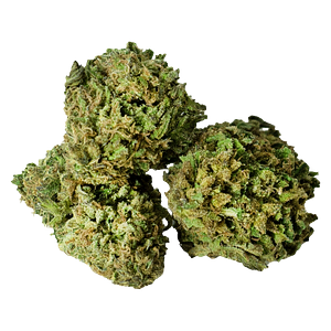 FDL Par/by Fleurs De L'île - Bruce Banner