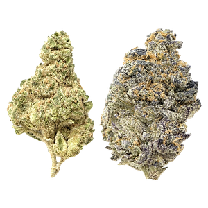 Snicklefritz - Candi Gas Mixed Pack - Froot Stripez & Gas Tingz