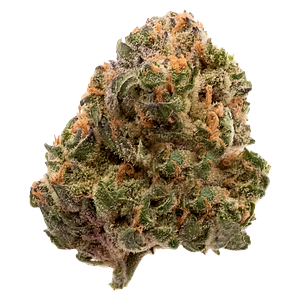 FIGR - Garlic Truffle