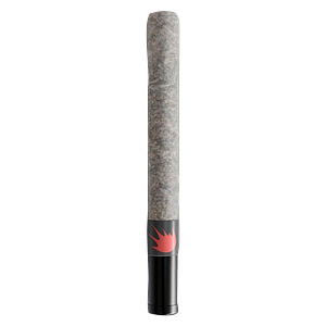 Slaps - Gas Doink Pre Roll