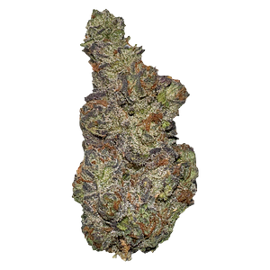 Terp Town Collective - Queen Of Tartz