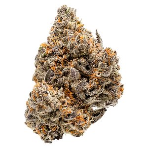 Coterie - Blue Ztarburzt