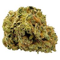 Viola - 1st Quarter (Sativa)