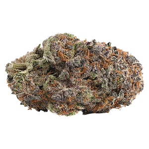 WINK - Purple Push Pop