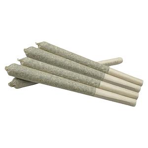 Plush - Hawaiian Haze Premium Joints