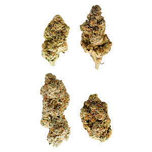 Terp Nerdz - Bag of Nerdz