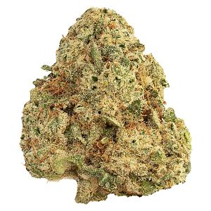 East Coast Terpz - Small Batch Craft Whole Flower