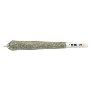 1Spliff - Creativity Pre-Roll