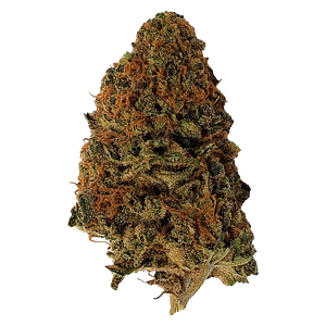 Dime Bag - Kush Dreams