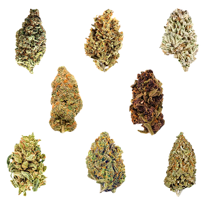 Potluck - Dankmas Feast Variety Pack