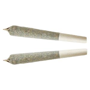 XPLOR - Indica Pre-roll