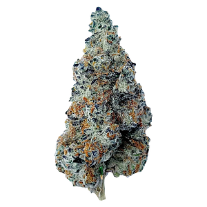 The Florist - Slurriboof Whole Flower