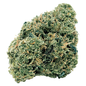 7ACRES - Northern OG Kush