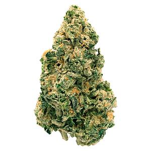 Back Forty - Galactic Jack