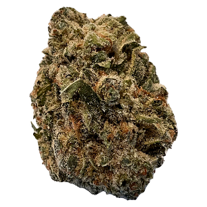 Versus - Bc Purple Kush