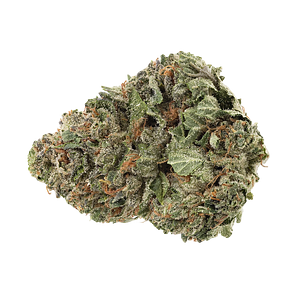 Homestead - Bandwagon Hybrid