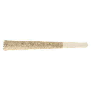 TERPi - Purple Twist Infused Pre-Roll