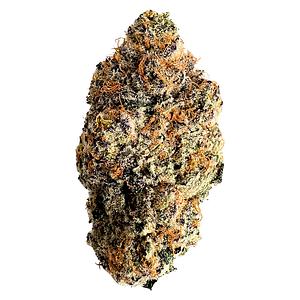 Florakraft - Heptane Dried Flower