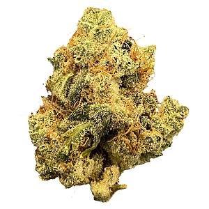 Mailman - Ultraviolet GMO