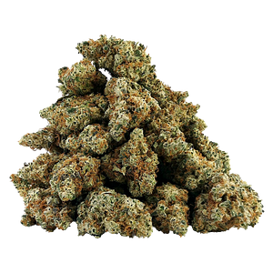 BC OZ - White Freezie