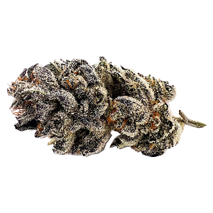 CannJah - Tectonic Truffle