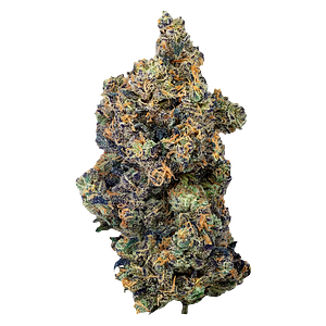 PURPLEFARM - Lime Rntz