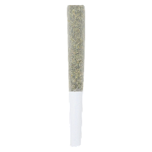 Crooked Dory - AAA+ Sativa Pre-Roll