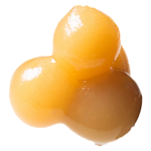 Astrolab - Dosi Punch - 90u Premium Cold Cure Live Rosin