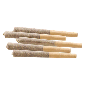Woody Nelson - Flight 525 Pre-Rolls