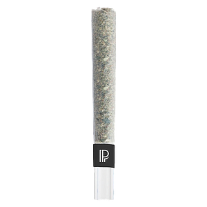 Pistol and Paris - Pink Goo Bubble Hash Infused Pre-Roll