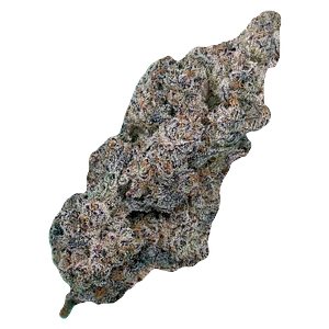 Cultures Chloris - Truffaloha