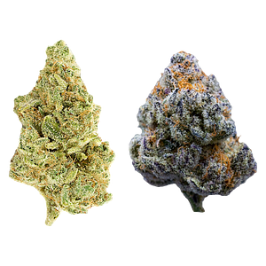 Rosin Heads - The Bread Bag