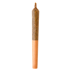 Hunny Pot - Limited Drip Pre Roll 