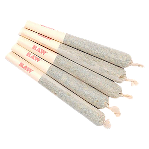 Sixty Seven Sins - Gary Satan Pre-Roll
