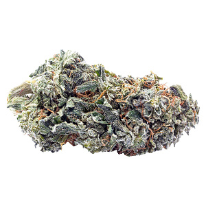 Terp Town Collective - Frosty Melonz