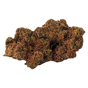 BOLD - Cool Aid Kush