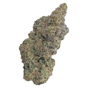 Natural History - Limited Reserve Indica