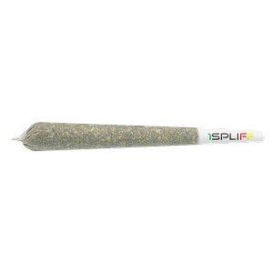 1Spliff - Spliff Caddy Pre Roll