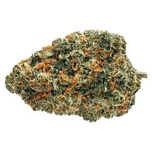 Soar - Biscotti Squeeze